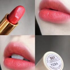 Son Cezanne Lasting Lip Color N 501